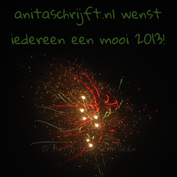 anitaschrijft.nl wenst iedereen een mooi 2013! - Foto: Anita van Schieveen