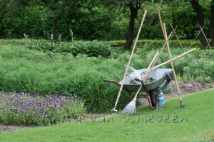 WALA tuin - Foto: Anita van Schieveen